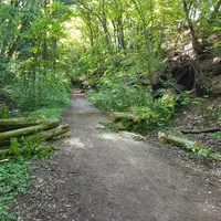 20190530_163621.jpg