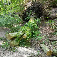 20190530_163631.jpg