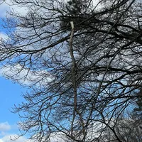 img-20220418-wa0006.jpg